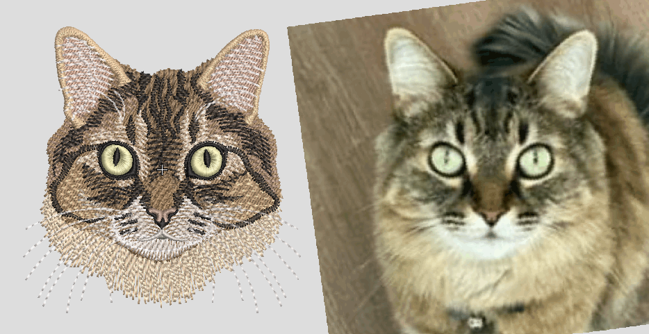 Custom pet digitizing