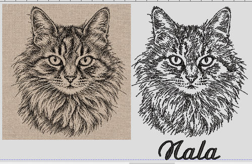 Custom pet digitizing